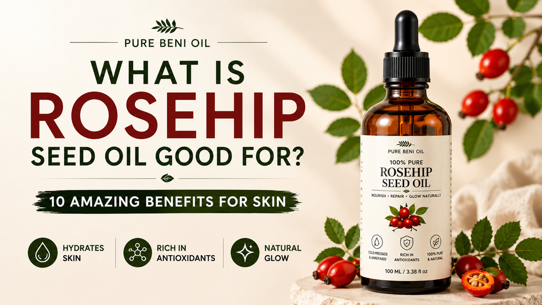 What is rosehip seed oil good for — 10 amazing benefits for skin infographic by Pure Beni Oil. Cold pressed, hexane-free, vegan, sourced from Rosa canina.