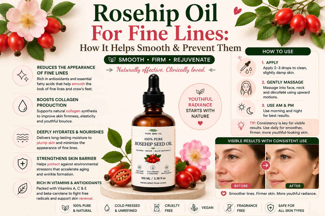 Pure Beni Rosehip Oil infographic for fine lines and early signs of aging, highlighting collagen support, deep hydration, skin barrier protection, improved elasticity and visibly smoother healthier-looking skin.